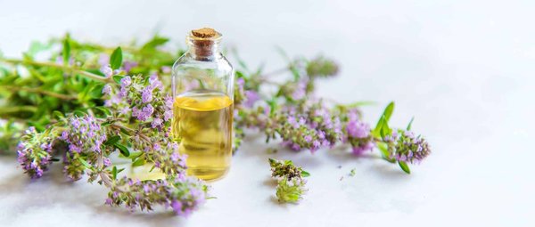 Les meilleurs huiles essentielles pour améliorer votre bien-être