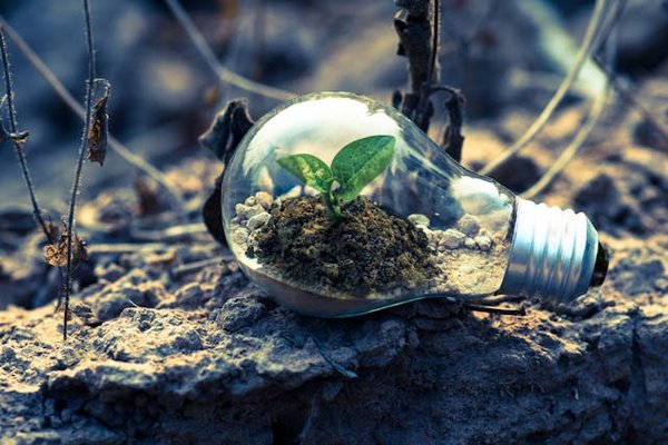 la responsabilité individuelle dans la préservation de l'environnement et la transition écologique de la société