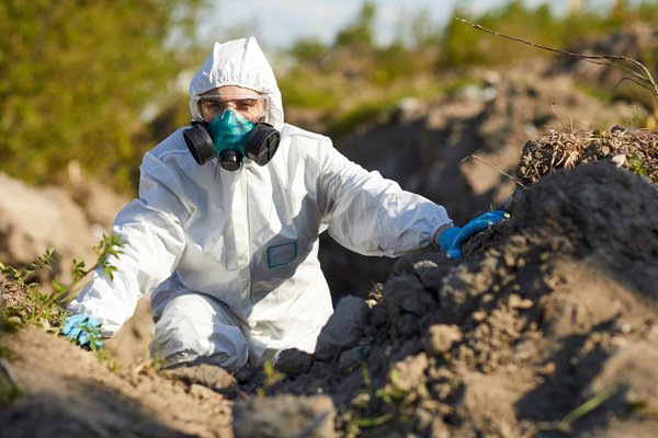 la montée en puissance des mouvements écologistes dans la société